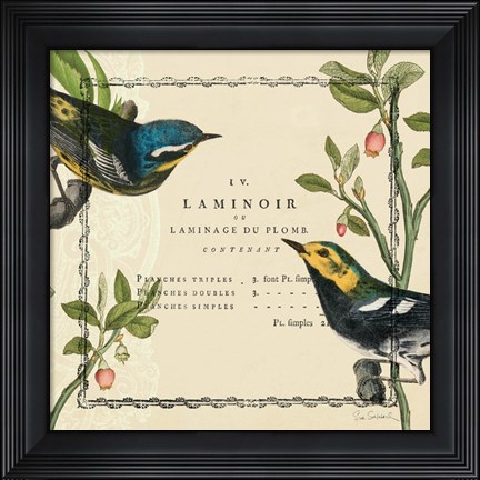 Framed Summer Pages II Print