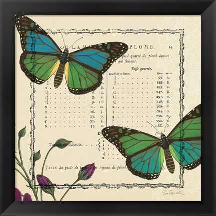 Framed Summer Pages IV Print