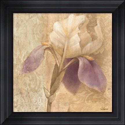 Framed Brocade Iris Print
