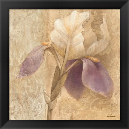 Framed Brocade Iris Print