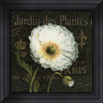 Framed Botanical Garden I Print