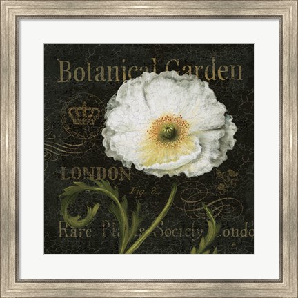Framed Botanical Garden II Print