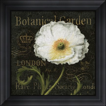 Framed Botanical Garden II Print