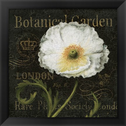 Framed Botanical Garden II Print