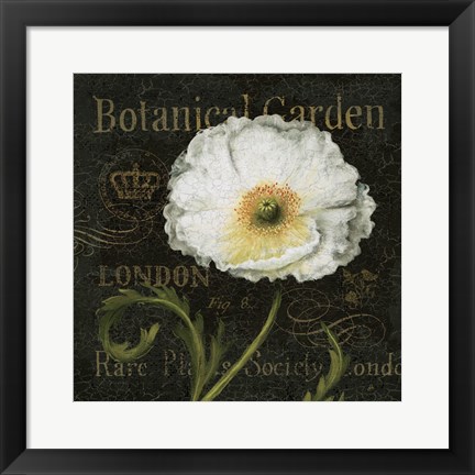 Framed Botanical Garden II Print