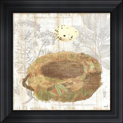 Framed Botanical Nest I Print