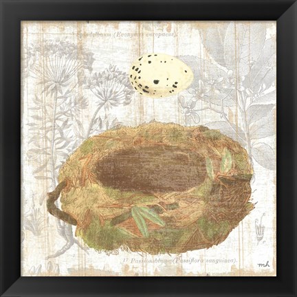 Framed Botanical Nest I Print