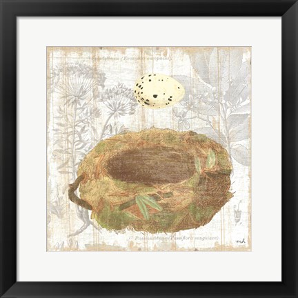 Framed Botanical Nest I Print