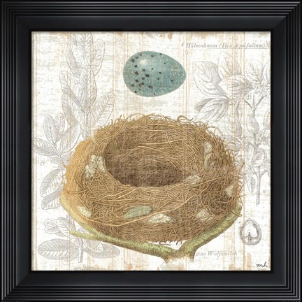 Framed Botanical Nest III Print