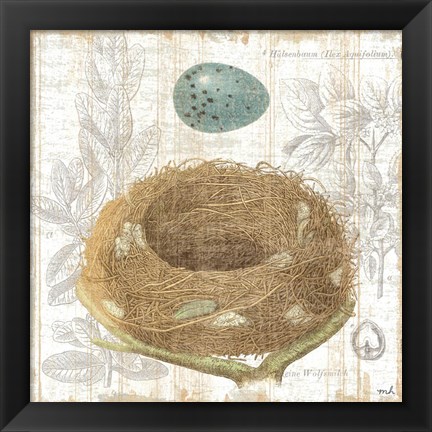 Framed Botanical Nest III Print