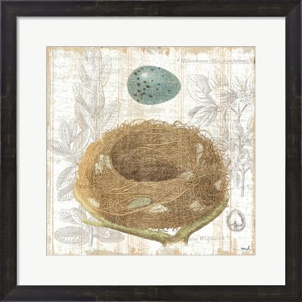 Framed Botanical Nest III Print