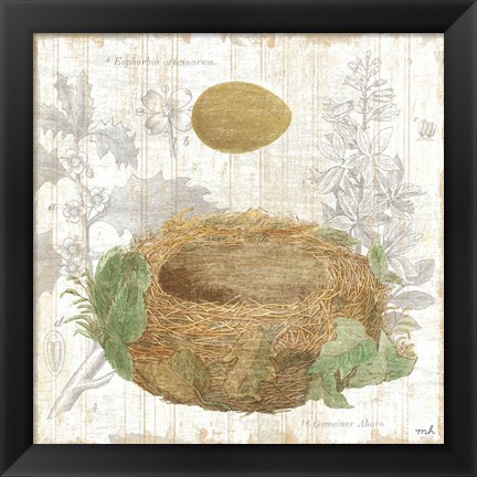 Framed Botanical Nest IV Print