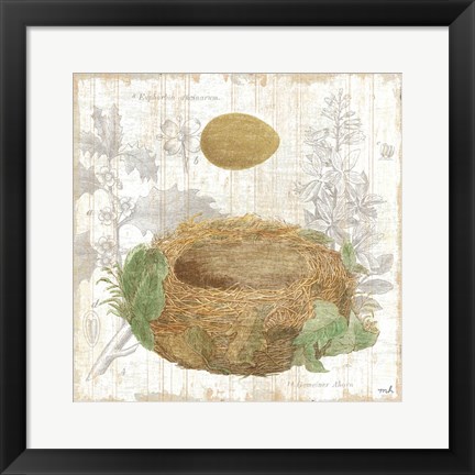 Framed Botanical Nest IV Print