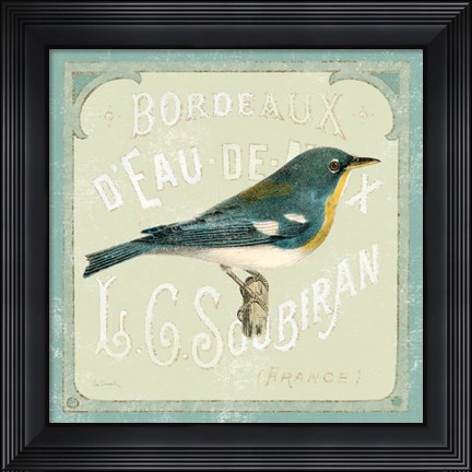 Framed Parisian Bird I Print