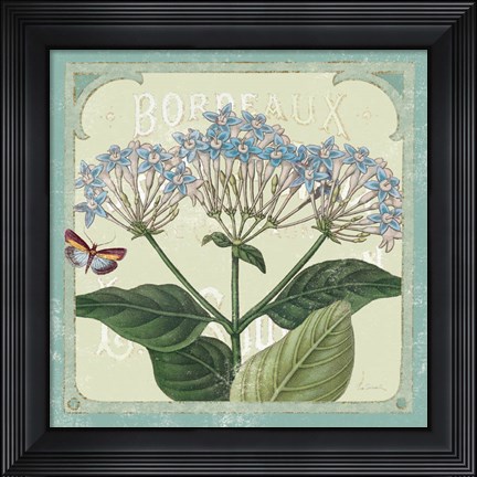 Framed Parisian Flower  I Print