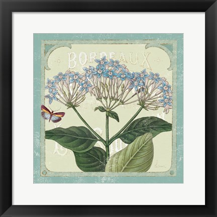 Framed Parisian Flower  I Print