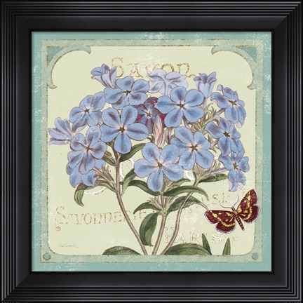 Framed Parisian Flower  II Print