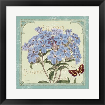 Framed Parisian Flower  II Print