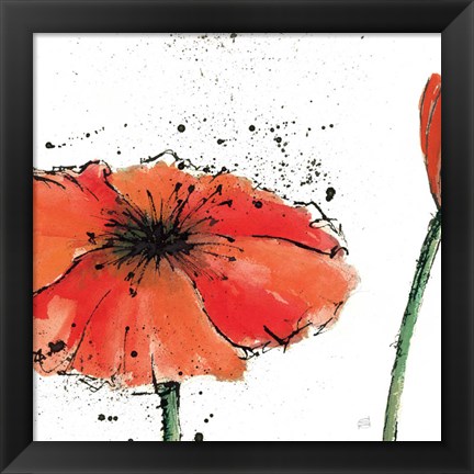 Framed Not a California Poppy III on White Print