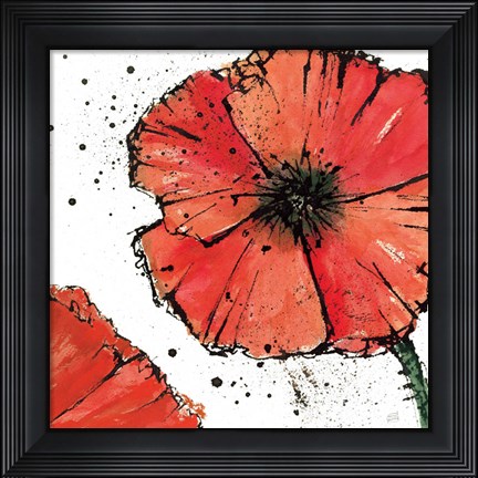 Framed Not a California Poppy on White IV Print
