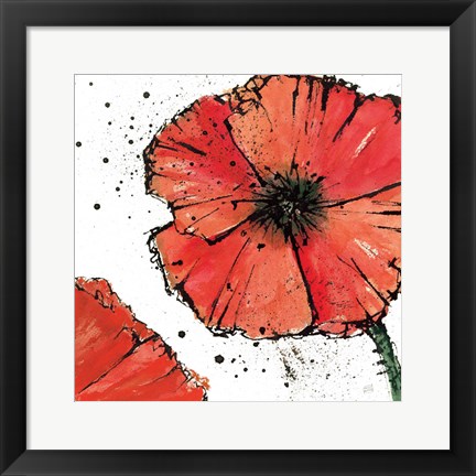 Framed Not a California Poppy on White IV Print