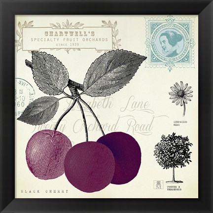 Framed Cherry Notes Print