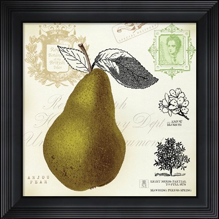 Framed Pear Notes Print