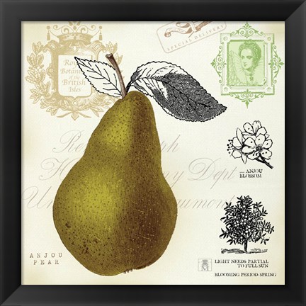 Framed Pear Notes Print