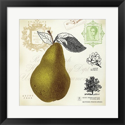 Framed Pear Notes Print