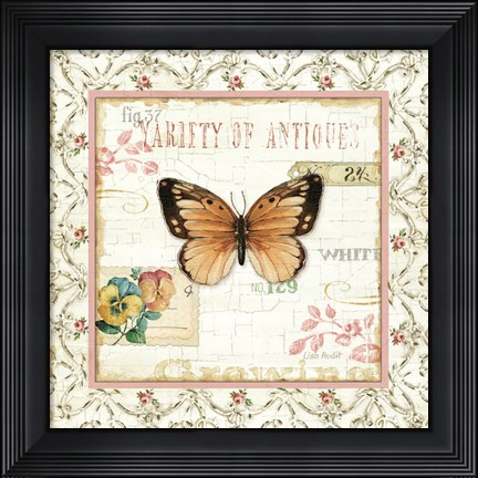 Framed Rose Garden V Print