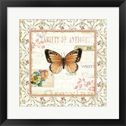Framed Rose Garden V Print