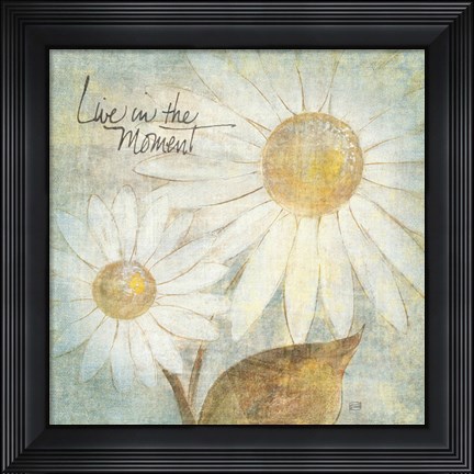 Framed Daisy Do III - Live in the Moment Print