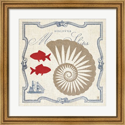 Framed Pacific Nautilus Print