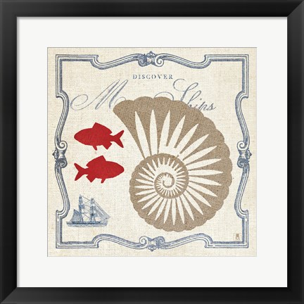 Framed Pacific Nautilus Print