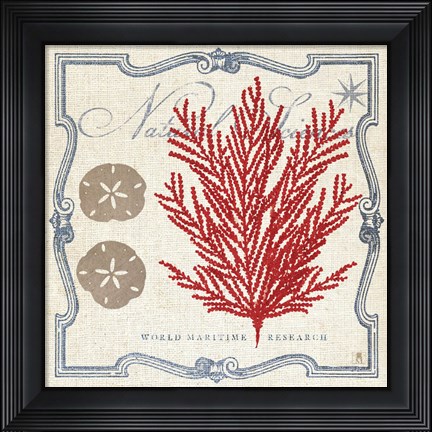 Framed Pacific Sea Fern Print