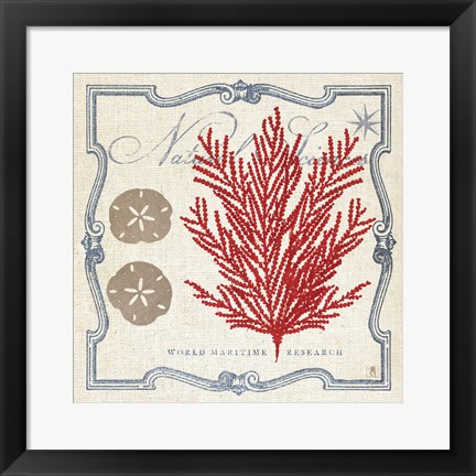 Framed Pacific Sea Fern Print