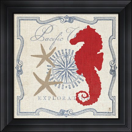 Framed Pacific Seahorse Print