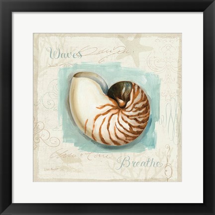 Framed Coastal Jewels II Print