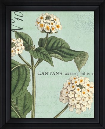 Framed Botanique Bleu I Print