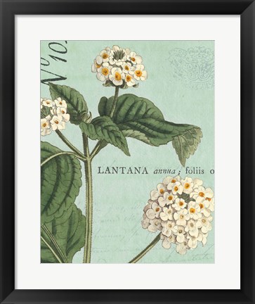 Framed Botanique Bleu I Print