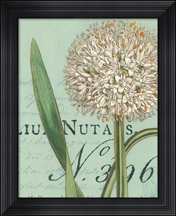Framed Botanique Bleu II Print