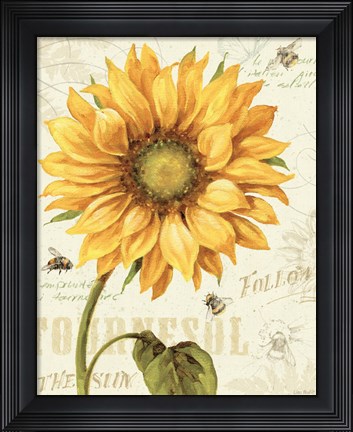 Framed Under the Sun I Print