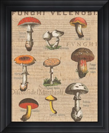 Framed Funghi Velenosi I Print