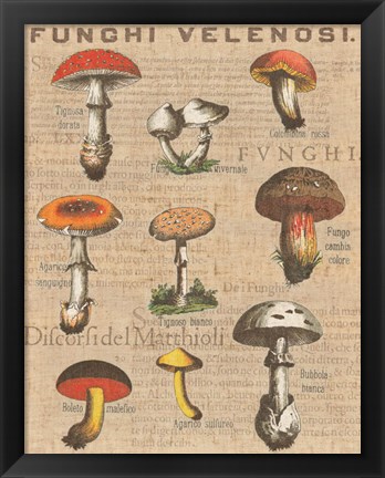 Framed Funghi Velenosi I Print