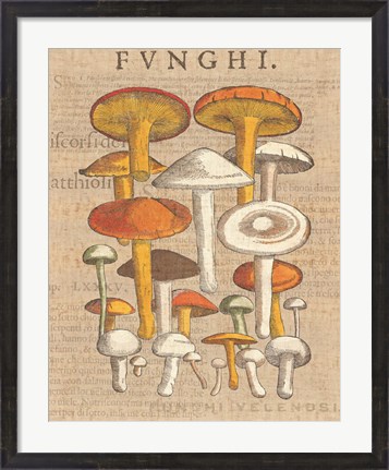 Framed Funghi Velenosi II Print