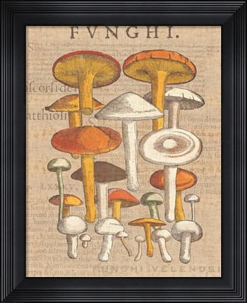 Framed Funghi Velenosi II Print