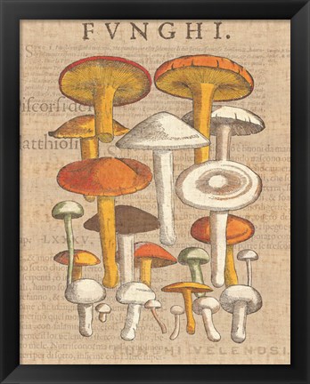 Framed Funghi Velenosi II Print