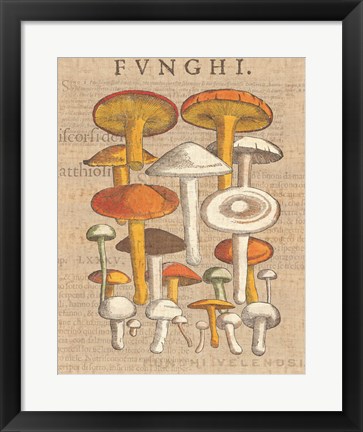 Framed Funghi Velenosi II Print