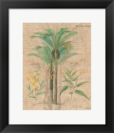 Framed Palm Study II Print