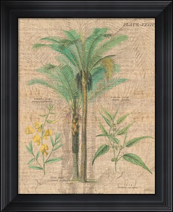 Framed Palm Study II Print